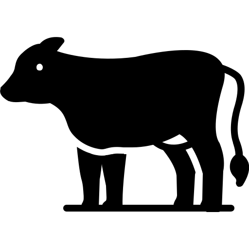 Patungan Sapi