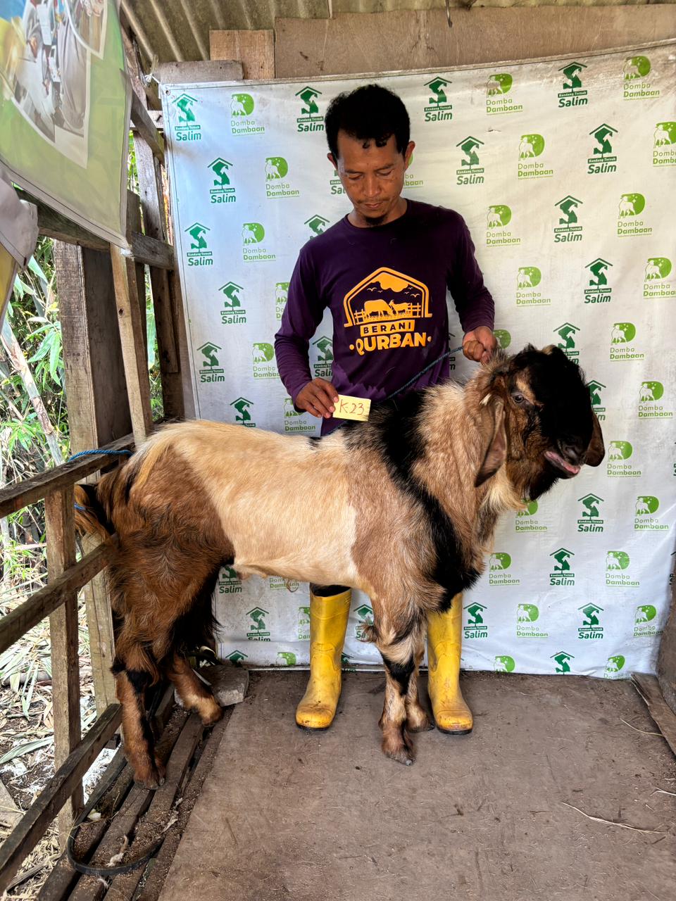 K23 - Kambing Super