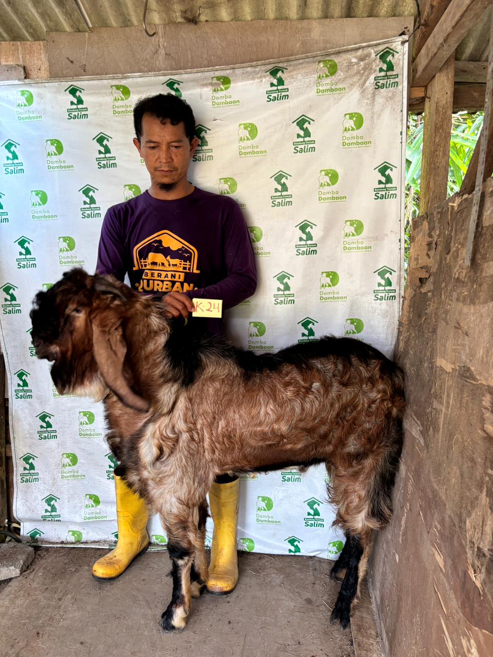 K24 - Kambing Super