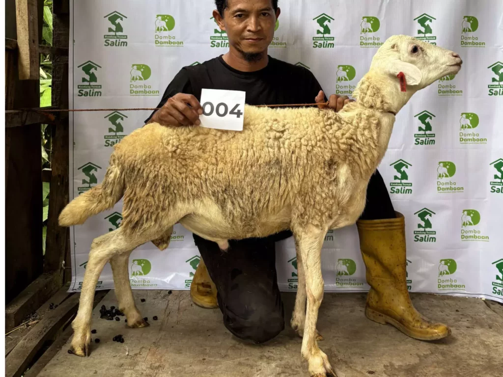 D-004 _ kandangternaksalim.id